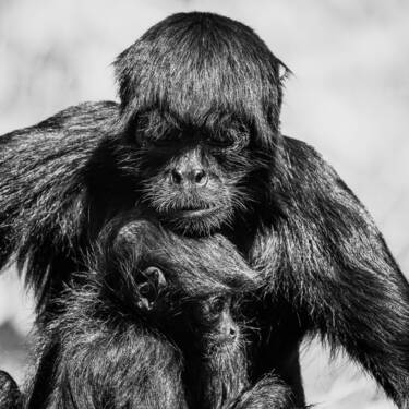 For Nikon Magazine - Alfie Bowen's review of the NIKKOR z 28-400mm f/4-8 VR