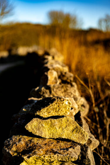 Nikon magazine - 50mm f/1.4 tried and tested