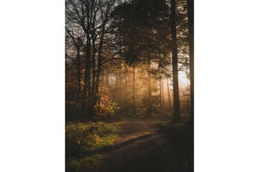 Photos for Nikon magazine