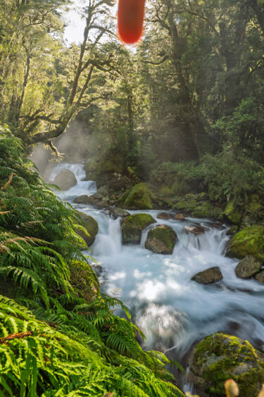 Nikon magazine - Photographing in direct sunlight