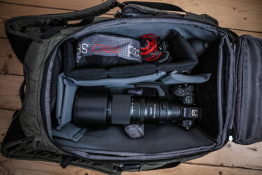 Nikon magazine - beginner bird photography with the Z5II and Samuel Houcken