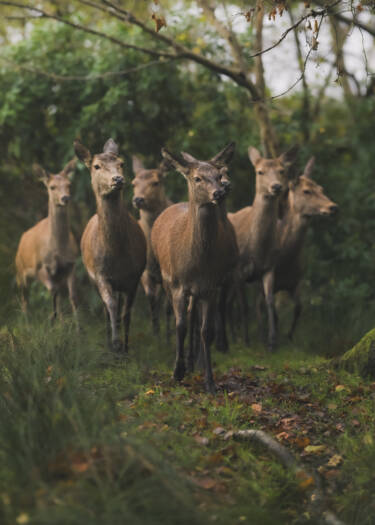 Nikon magazine - The Set Up