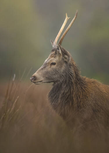 Nikon magazine - The Set Up