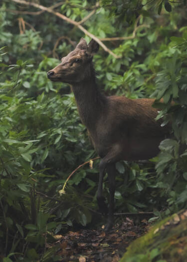 Nikon magazine - The Set Up