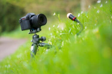 Nikon magazine - macro photography with spring flowers